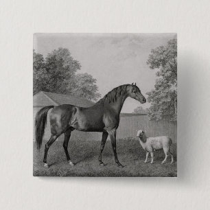 Macaron Carré 5 Cm George Stubbs Dungannon, gravé par George Town