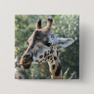 Macaron Carré 5 Cm Girafe