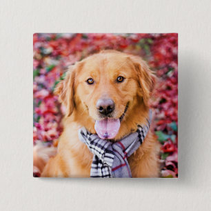 Macaron Carré 5 Cm Golden Retriever In Scarf