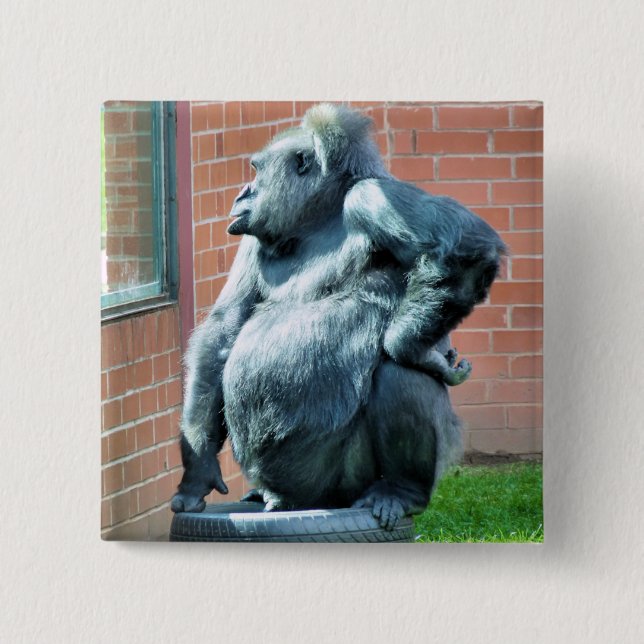 MACARON CARRÉ 5 CM GORILLAS (Devant)