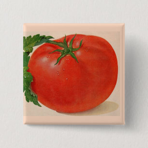 Macaron Carré 5 Cm grande tomate juteuse BIG
