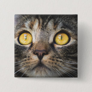 Macaron Carré 5 Cm Gros plan de chat avec Yellow Eyes