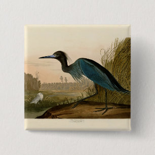 Macaron Carré 5 Cm Grue Bleue Heron Audubon Peinture