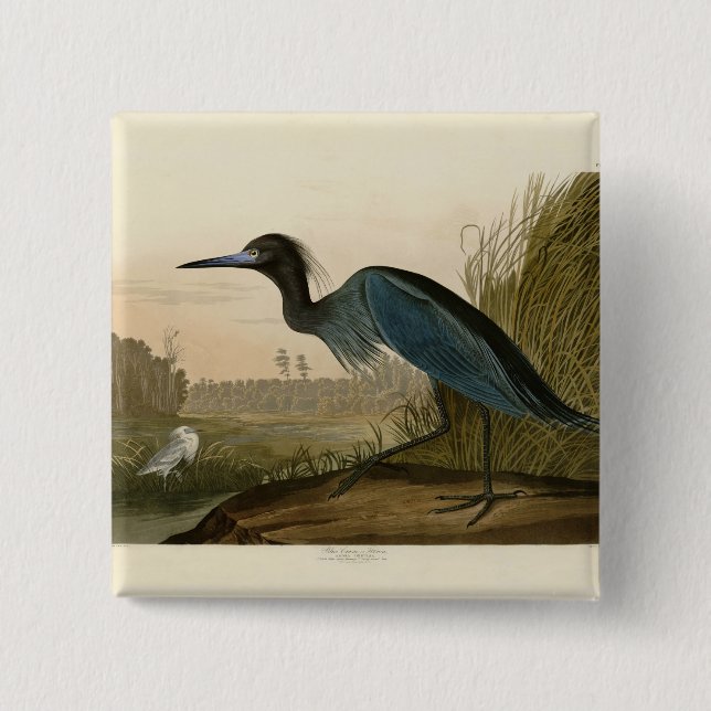 Macaron Carré 5 Cm Grue Bleue Heron Audubon Peinture (Devant)