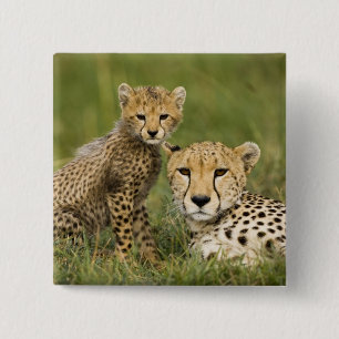 Macaron Carré 5 Cm Guépard, Acinonyx jubatus, avec un petit