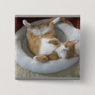 Macaron Carré 5 Cm Happy Cat