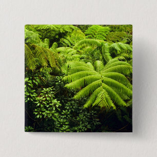 Macaron Carré 5 Cm Hawaii, Grande Ile, Verdure tropicale luxuriante e