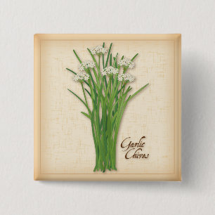 Macaron Carré 5 Cm Herbe Garlic Chives