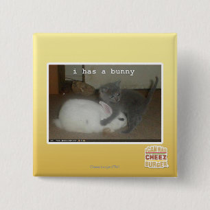 Macaron Carré 5 Cm I a un lapin