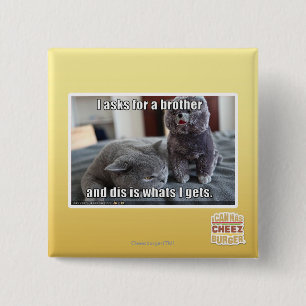 Macaron Carré 5 Cm I demande un frère