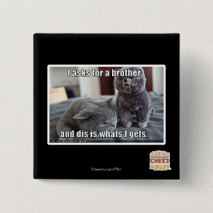 Macaron Carré 5 Cm I demande un frère