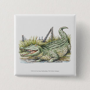 Macaron Carré 5 Cm Illustration d'alligator sur le rivage