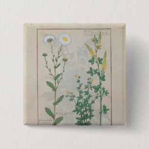 Macaron Carré 5 Cm Illustration 'du livre de simple