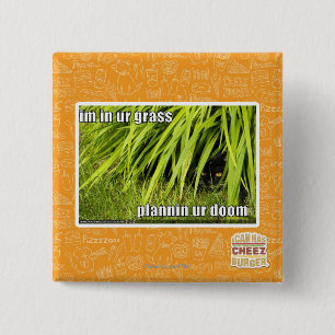 Macaron Carré 5 Cm im dans l'herbe d'ur