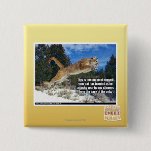 Macaron Carré 5 Cm Image de chat