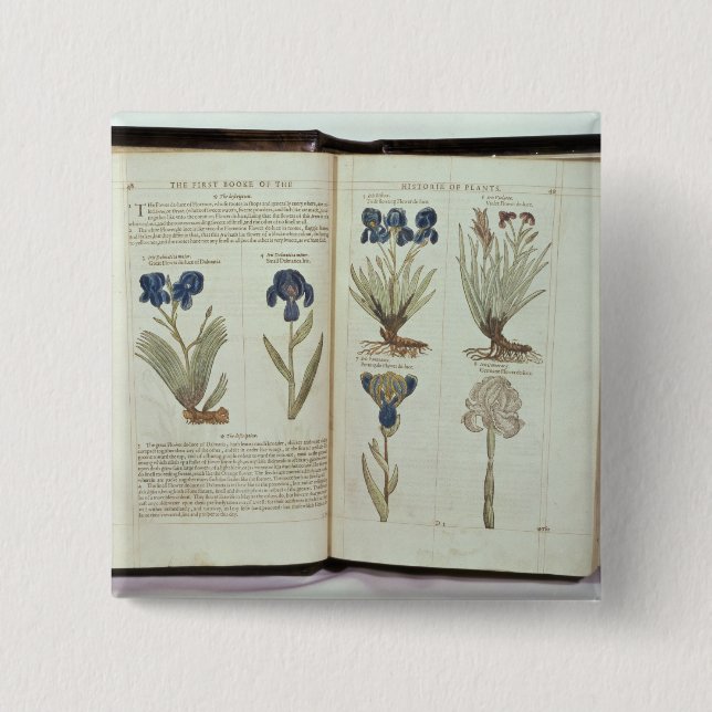 Macaron Carré 5 Cm Iris (Devant)