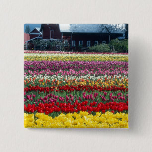 Macaron Carré 5 Cm Jardin de tulipes, comté de Skagit,