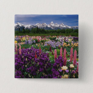 Macaron Carré 5 Cm Jardin d'Iris et de Lupins et chaîne Teton,