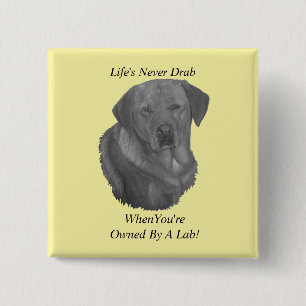 Macaron Carré 5 Cm jaune labrador retreiver chien portrait slogan amu