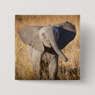 Macaron Carré 5 Cm Jeune éléphant de savane