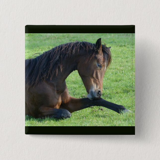 Macaron Carré 5 Cm Joli Cheval Brown allongé dans l'herbe (Devant)
