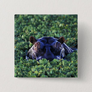 Macaron Carré 5 Cm Kenya, Réserve nationale du Masaï Mara.