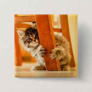 Macaron Carré 5 Cm Kitty sous la chaise