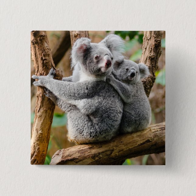 Macaron Carré 5 Cm Koala avec bébé dans un arbre en Australie (Devant)
