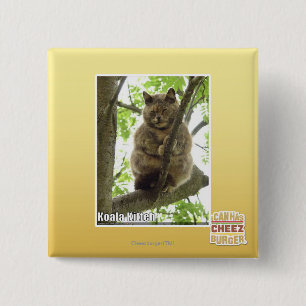 Macaron Carré 5 Cm Koala Kitteh