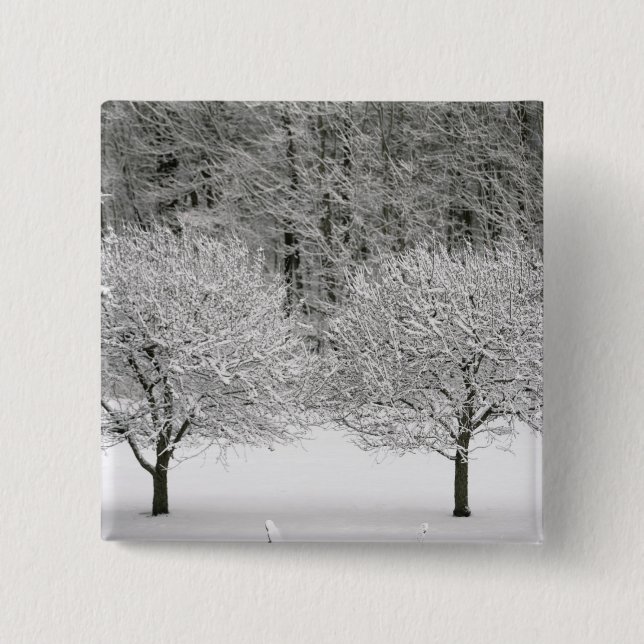 Macaron Carré 5 Cm La neige a couvert le paysage (Devant)