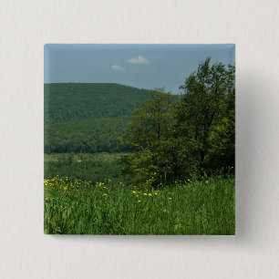 Macaron Carré 5 Cm Laurel Highlands Pennsylvanie Photographie d'été
