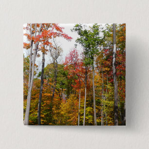Macaron Carré 5 Cm L'automne dans la forêt Photographie d'automne col