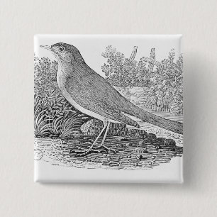 Macaron Carré 5 Cm Le rossignol