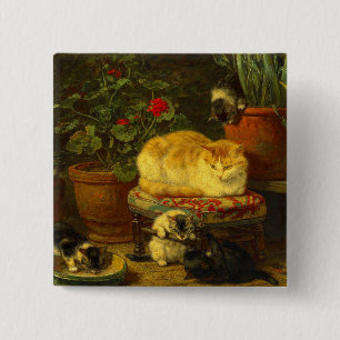 Macaron Carré 5 Cm Les chatons en jeu