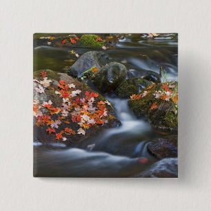 Macaron Carré 5 Cm Les feuilles d'érable rouge tapissent les rochers