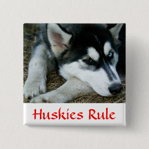 Macaron Carré 5 Cm Les Huskies gouvernent le bouton Sibérien Husky Pi