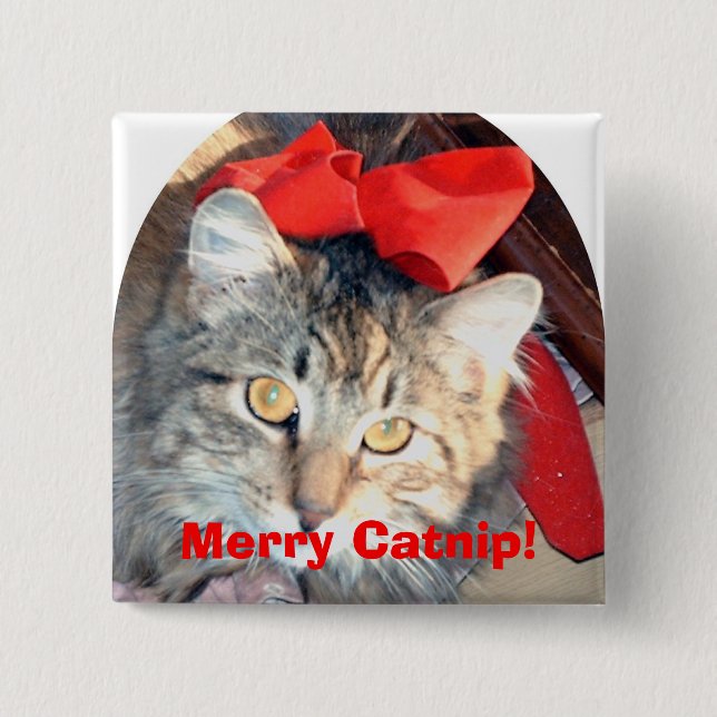 Macaron Carré 5 Cm Les papiers de cataire :  Joyeux cataire ! - (Devant)