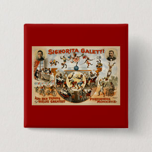 Macaron Carré 5 Cm Les plus grands singes de exécution 1892 du monde