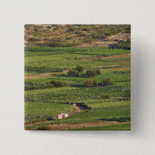 Macaron Carré 5 Cm Les vignobles de Smokvica sur Korcula de la Toreta