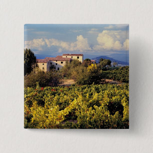 Macaron Carré 5 Cm L'Europe, France, Bonnieux. Les vignobles couvrent