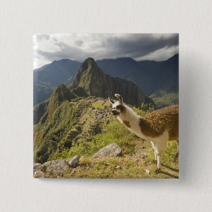 Macaron Carré 5 Cm Llamas et vue sur Machu Picchu,