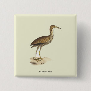 Macaron Carré 5 Cm L'oiseau de Bittern américain (Botaurus lentiginos