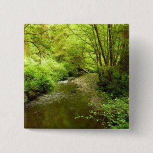 Macaron Carré 5 Cm Lost Man Creek I à Redwood National Park