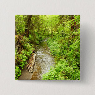 Macaron Carré 5 Cm Lost Man Creek II à Redwood National Park