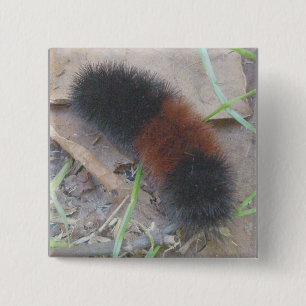 Macaron Carré 5 Cm L'ours Caterpillar laineux se boutonnent