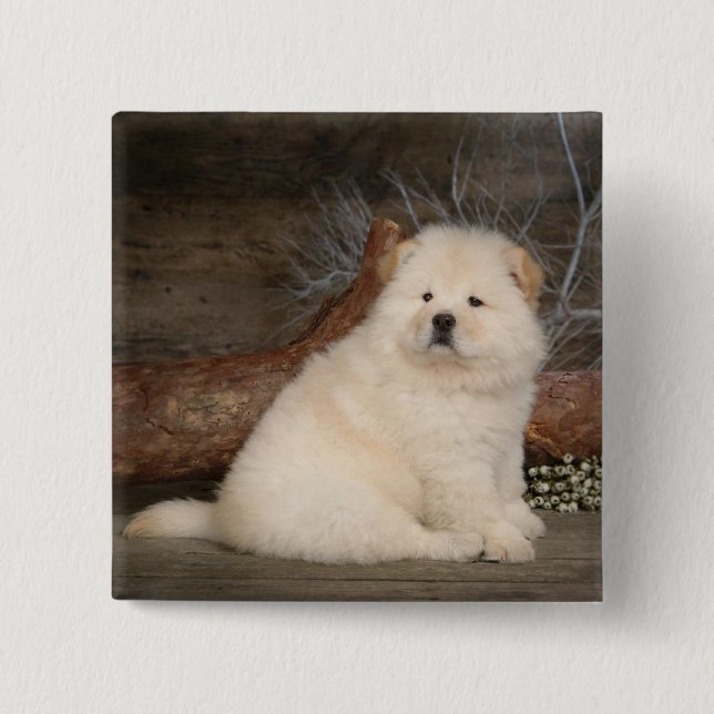 Macaron Carré 5 Cm Love Chow Chow Puppy Chien Pin (Devant)