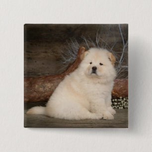 Macaron Carré 5 Cm Love Chow Chow Puppy Chien Pin