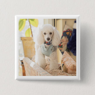 Macaron Carré 5 Cm Maddie