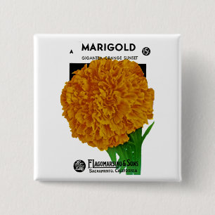 Macaron Carré 5 Cm Marigold Vintage Seed Packet