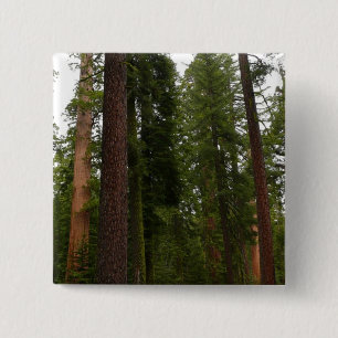 Macaron Carré 5 Cm Mariposa Grove dans le parc national de Yosemite